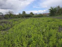 Продаж ділянки в Глибочиці з добротним фундаментом фото 12 Продаж ділянки в Глибочиці з добротним фундаментом фото 12