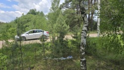 Гарна ділянка с.Кам'янка, дорога на Новоселицю. фото 7 Гарна ділянка с.Кам'янка, дорога на Новоселицю. фото 7