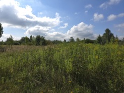 Продаж ділянки 10 сот. р-н аеропора (26126356) фото 4 Продаж ділянки 10 сот. р-н аеропора (26126356) фото 4