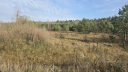 ������ ������� ������ �.�볿��� ���� 5