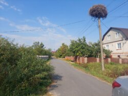 Продається ділянка Житомирська, Житомирський, Оліївка, Молодіжна фото 6 Продається ділянка Житомирська, Житомирський, Оліївка, Молодіжна фото 6