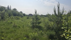 Продаж ділянки с.Тетерівка з асфальтованим під'їздом фото 7 Продаж ділянки с.Тетерівка з асфальтованим під'їздом фото 7