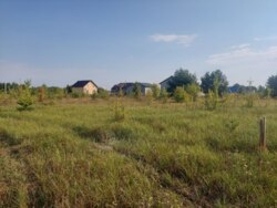 Ділянка під будинок 8 сот. Оліївка фото 1 Ділянка під будинок 8 сот. Оліївка фото 1