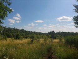 Продаж ділянки 10 соток на пчатку с.Іванівка фото 3 Продаж ділянки 10 соток на пчатку с.Іванівка фото 3