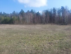 Ділянка 30 соток в с.Садки біля лісу (26140269) фото 8 Ділянка 30 соток в с.Садки біля лісу (26140269) фото 8