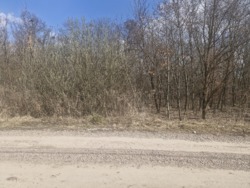 ������ ������ 10 ����� �.���������� � �����������.(26161951) ���� 4