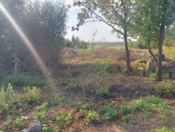 Продається ділянка Житомирська, Житомирський, Оліївка, Молодіжна фото 2 Продається ділянка Житомирська, Житомирський, Оліївка, Молодіжна фото 2