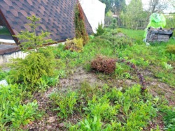 ĳ          (26142819)  12