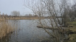 Продаж ділянки 24,6 сот. в с.Двірець поряд з озером. фото 8 Продаж ділянки 24,6 сот. в с.Двірець поряд з озером. фото 8