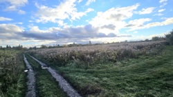 Продаж ділянки, Хутір Хінчанка, новий масив фото 4 Продаж ділянки, Хутір Хінчанка, новий масив фото 4