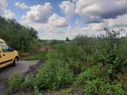 Продаж ділянки 24,6 сот. в с.Двірець поряд з озером. фото 6 Продаж ділянки 24,6 сот. в с.Двірець поряд з озером. фото 6