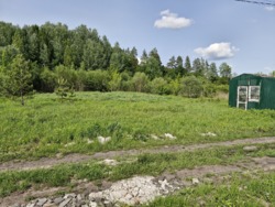 Ділянка з виходом до лісу і світлом, Смоківка фото 18 Ділянка з виходом до лісу і світлом, Смоківка фото 18