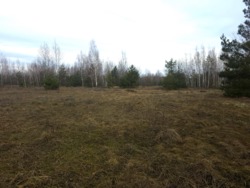 Ділянка 15 сот., початок с.Сінгури. (26105809) фото 2 Ділянка 15 сот., початок с.Сінгури. (26105809) фото 2