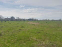 Продається ділянка Житомирська, Житомирський, Лука, Східна/Незалежності фото 3 Продається ділянка Житомирська, Житомирський, Лука, Східна/Незалежності фото 3