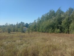 Ділянка 27 соток на початку с.Дениші фото 7 Ділянка 27 соток на початку с.Дениші фото 7