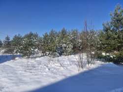 �������� 10���. ������� ����. (26156871) ���� 1