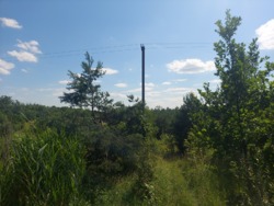 Продаж ділянки 10 соток на пчатку с.Іванівка фото 2 Продаж ділянки 10 соток на пчатку с.Іванівка фото 2