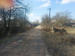   25   . (26105789)  7