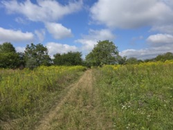 Продаж ділянки 10 сот. р-н аеропора (26126356) фото 5 Продаж ділянки 10 сот. р-н аеропора (26126356) фото 5