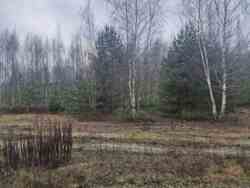 Оліївка 12 сот р-н новобудов. (26159464) фото 2 Оліївка 12 сот р-н новобудов. (26159464) фото 2