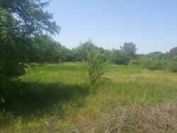 Ділянка на Богунії біля озера фото 6 Ділянка на Богунії біля озера фото 6