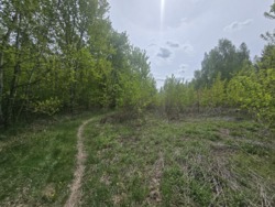 Продаж фасадної ділянки с.Березина фото 6 Продаж фасадної ділянки с.Березина фото 6