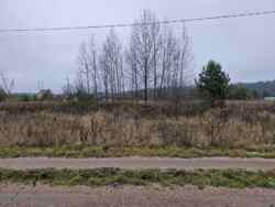 ĳ����� 10 ����� �� ������� ������� 44� (2693736) ���� 4