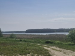 Продаж ділянки с.Тетерівка, крайня до річки фото 1 Продаж ділянки с.Тетерівка, крайня до річки фото 1