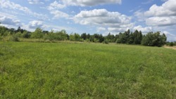 Продаж ділянки с.Високий Камінь, Коростишівського району фото 5 Продаж ділянки с.Високий Камінь, Коростишівського району фото 5