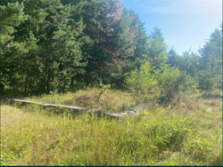 ��������� ������ �����������, ������������, ������ ���� 1