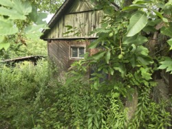 Продаж ділянки 16 соток на Богунії з старим будинком (26141859) фото 3 Продаж ділянки 16 соток на Богунії з старим будинком (26141859) фото 3