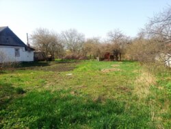 ĳ 17      (26142330)  5