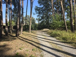 ��������� ������ �����, ������������, ����������� ���� 1