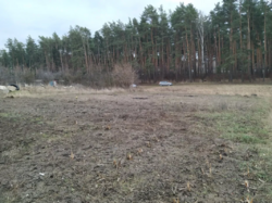 Продаж ділянки через дорогу від лісу, Слобода-Селець фото 13 Продаж ділянки через дорогу від лісу, Слобода-Селець фото 13