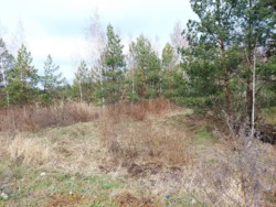 Фасадна ділянка 70 соток (26137933) фото 8 Фасадна ділянка 70 соток (26137933) фото 8