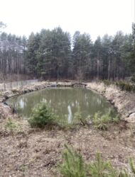 Продається ділянка Житомирська, Житомирський, Тетерівка фото 5 Продається ділянка Житомирська, Житомирський, Тетерівка фото 5