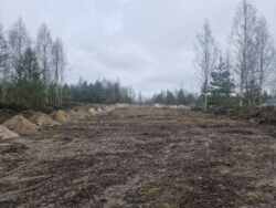 ĳ����� 20 ���. �볿��� (26159460) ���� 8