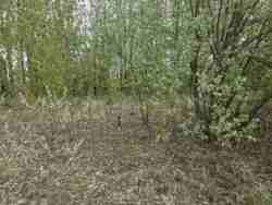 Ділянка 8 сот. Хінчанка/Параджанова фото 5 Ділянка 8 сот. Хінчанка/Параджанова фото 5