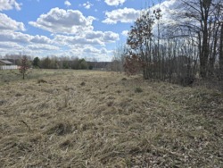 Ділянка 11 соток, Тетерівка, сторона річки фото 8 Ділянка 11 соток, Тетерівка, сторона річки фото 8