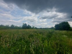 Продається ділянка Житомирська, Житомирський, Станишівка, початок фото 5 Продається ділянка Житомирська, Житомирський, Станишівка, початок фото 5