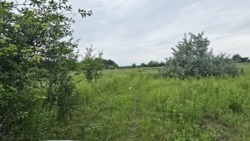 Продаж ділянки 20 соток район Хінчанки фото 4 Продаж ділянки 20 соток район Хінчанки фото 4