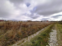 Продається ділянка Житомирська, Житомирський, Сонячне, Новоселів фото 3 Продається ділянка Житомирська, Житомирський, Сонячне, Новоселів фото 3