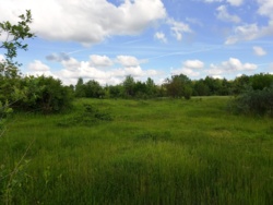 Продаж ділянки по центральній вулиці в с Туровець фото 5 Продаж ділянки по центральній вулиці в с Туровець фото 5