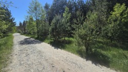 ������ 17,5 ���. �� ��������.(26161757) ���� 7