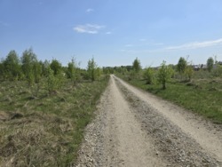 Продається ділянка Житомирська, Житомирський, Зарічани фото 3 Продається ділянка Житомирська, Житомирський, Зарічани фото 3