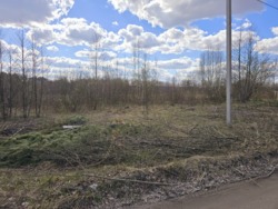 Ділянка в Іванівці навпроти лісу фото 5 Ділянка в Іванівці навпроти лісу фото 5