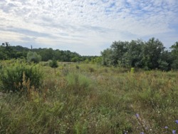 Продаж ділянки 10 соток на Богунії (26144535) фото 3 Продаж ділянки 10 соток на Богунії (26144535) фото 3