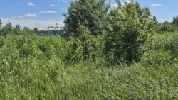 Продаж ділянки р-н Смоківка фото 3 Продаж ділянки р-н Смоківка фото 3