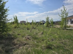 Продається ділянка Житомирська, Житомирський, Зарічани фото 6 Продається ділянка Житомирська, Житомирський, Зарічани фото 6