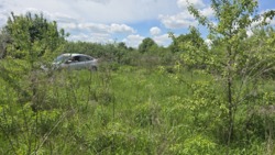 Ділянка 12 соток в с.Кам'янка (26133577) фото 5 Ділянка 12 соток в с.Кам'янка (26133577) фото 5